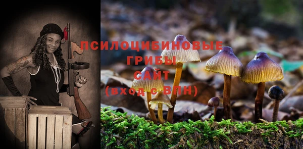таблы Саяногорск